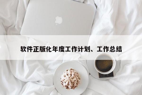软件正版化年度工作计划、工作总结