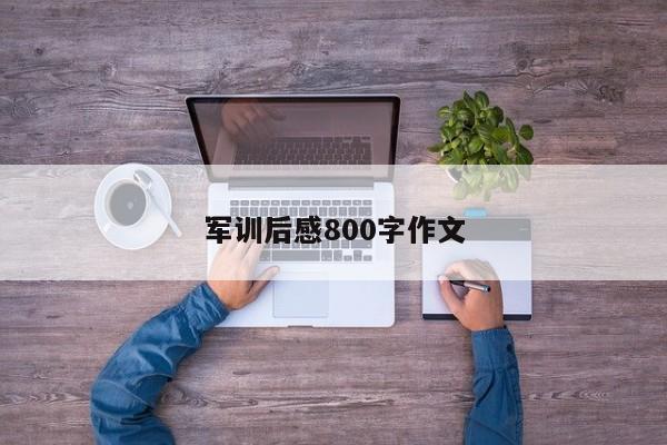 军训后感800字作文