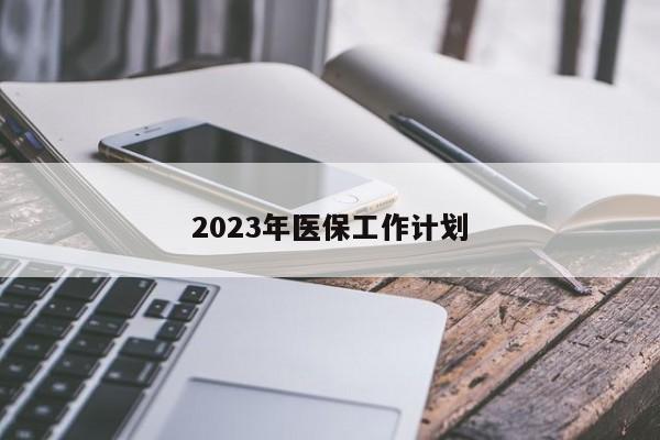 2023年医保工作计划
