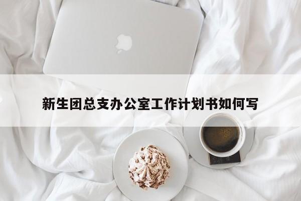 新生团总支办公室工作计划书如何写