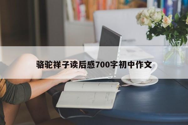 骆驼祥子读后感700字初中作文