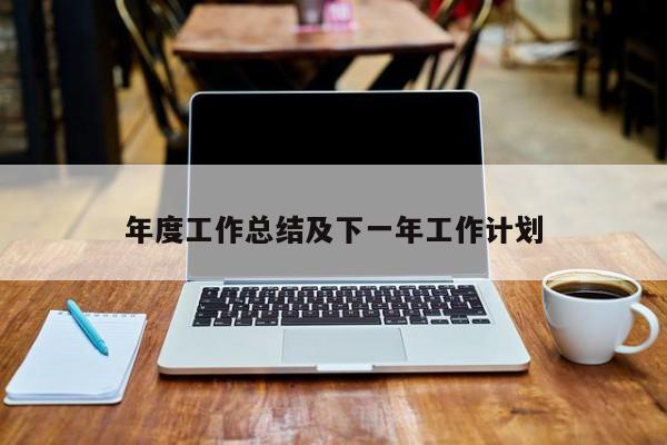 年度工作总结及下一年工作计划