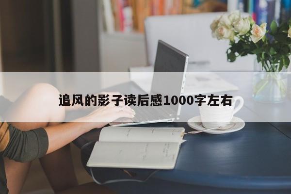 追风的影子读后感1000字左右